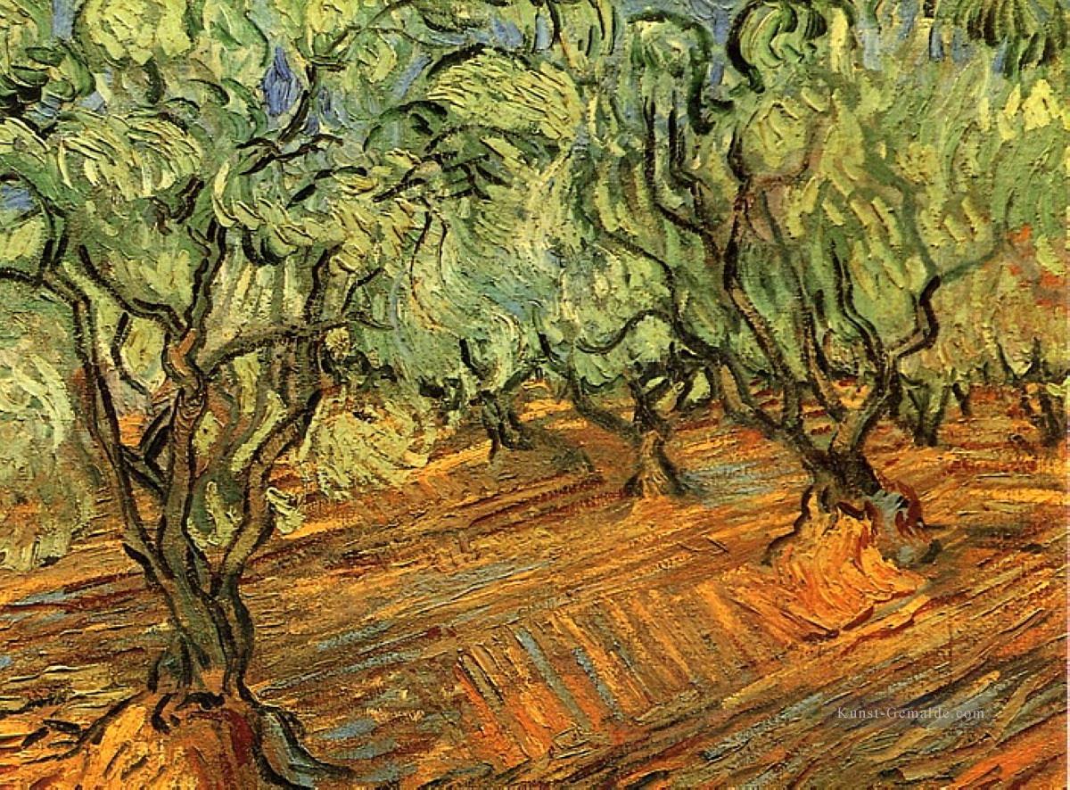 Olive Grove Bright Blue Sky 2 Vincent van Gogh Ölgemälde